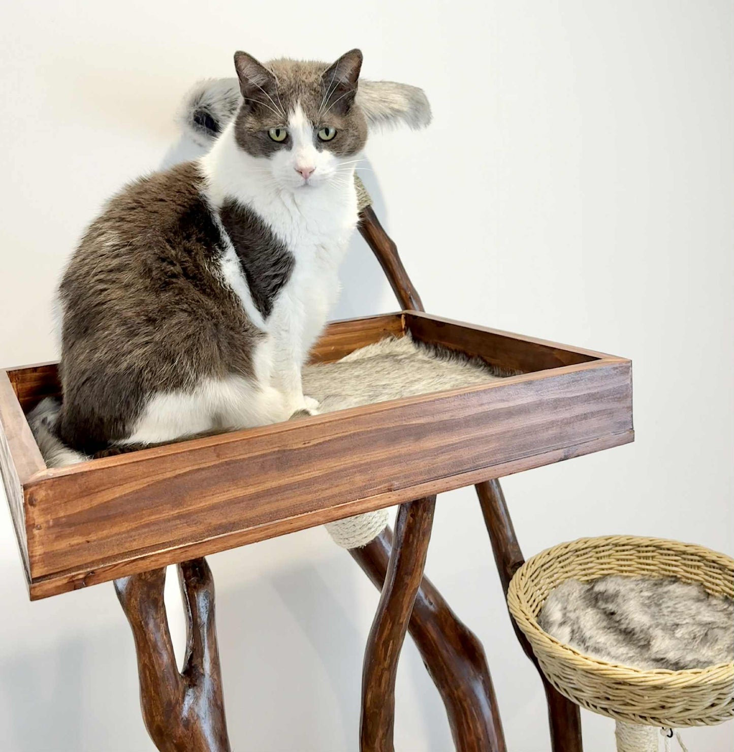 Double Trouble Cat Tree