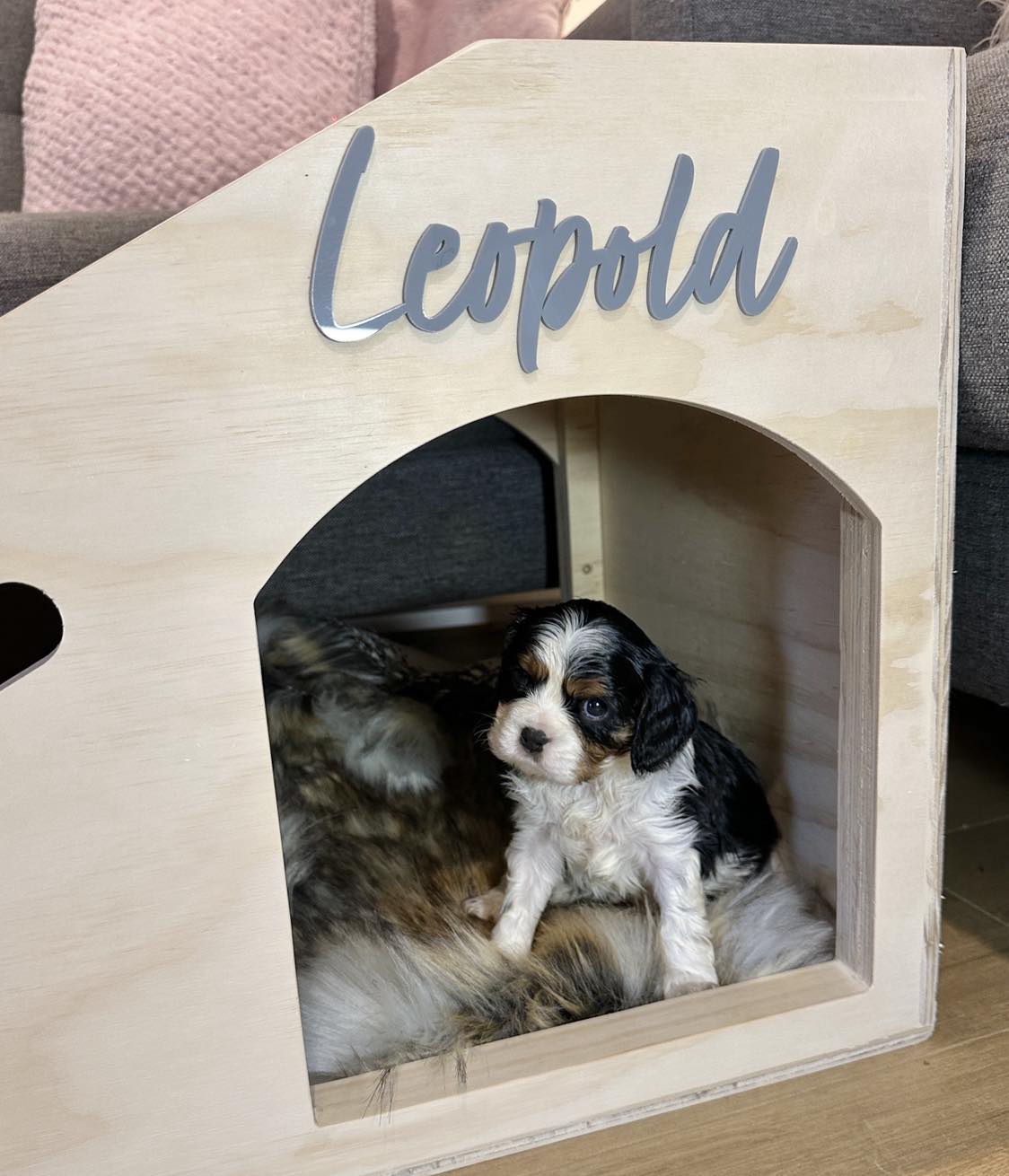 Sleek Couch Dog Ramp
