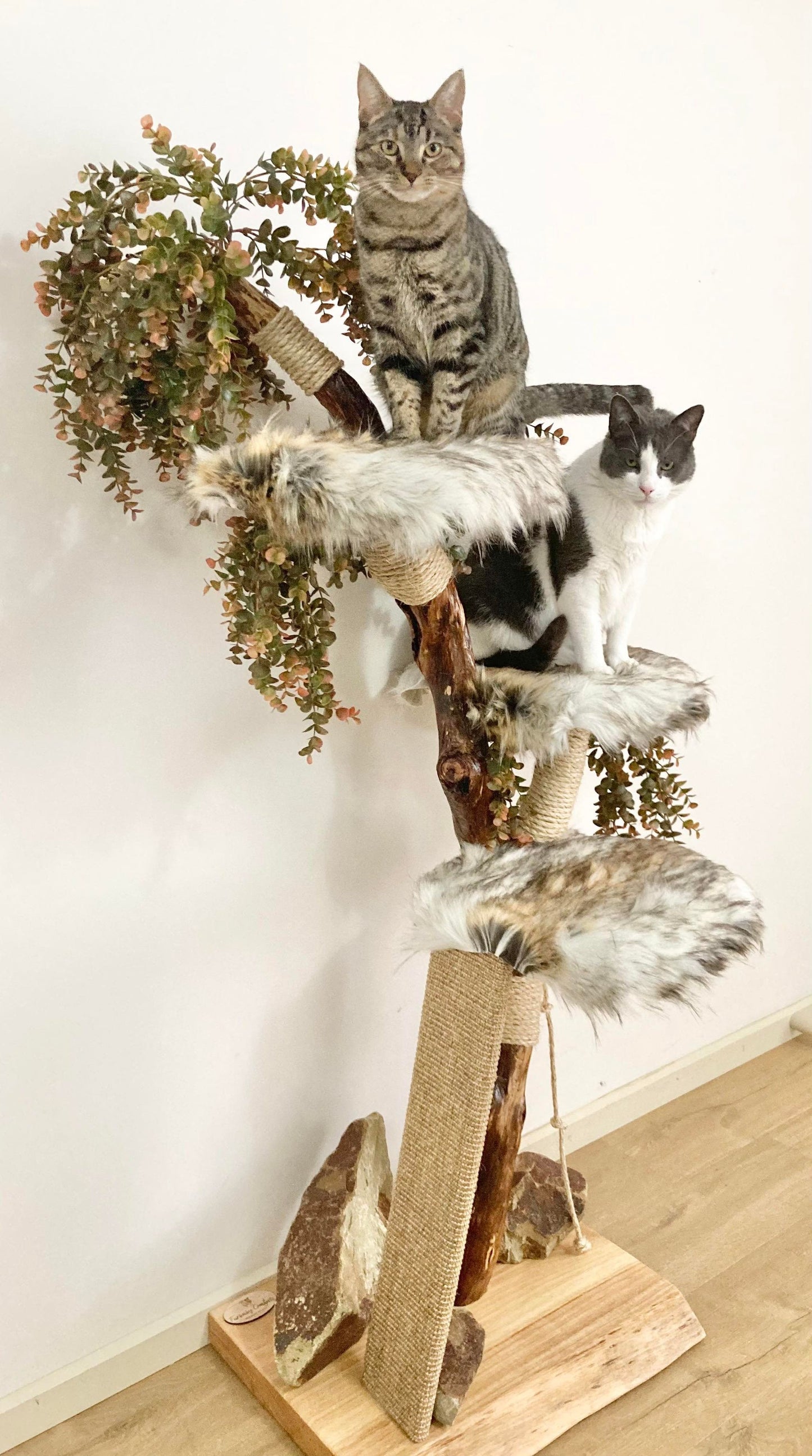 2 cats on cat tree, natural cat tower
