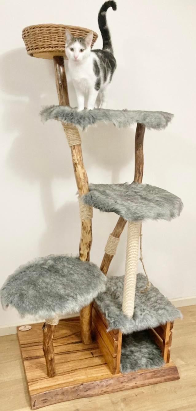 Cat on handmade natural tree cat tree, cat furniture