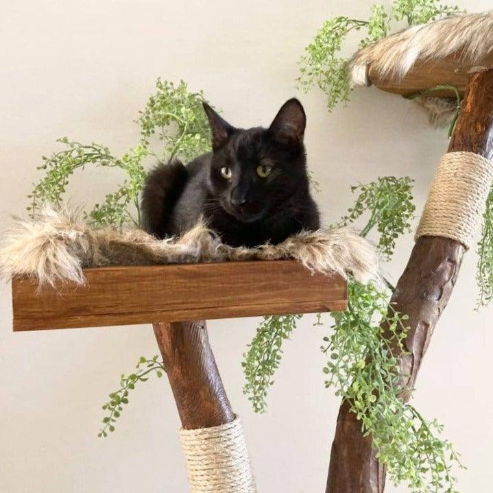 Photo of cat sitting on platform on cat scratching tree