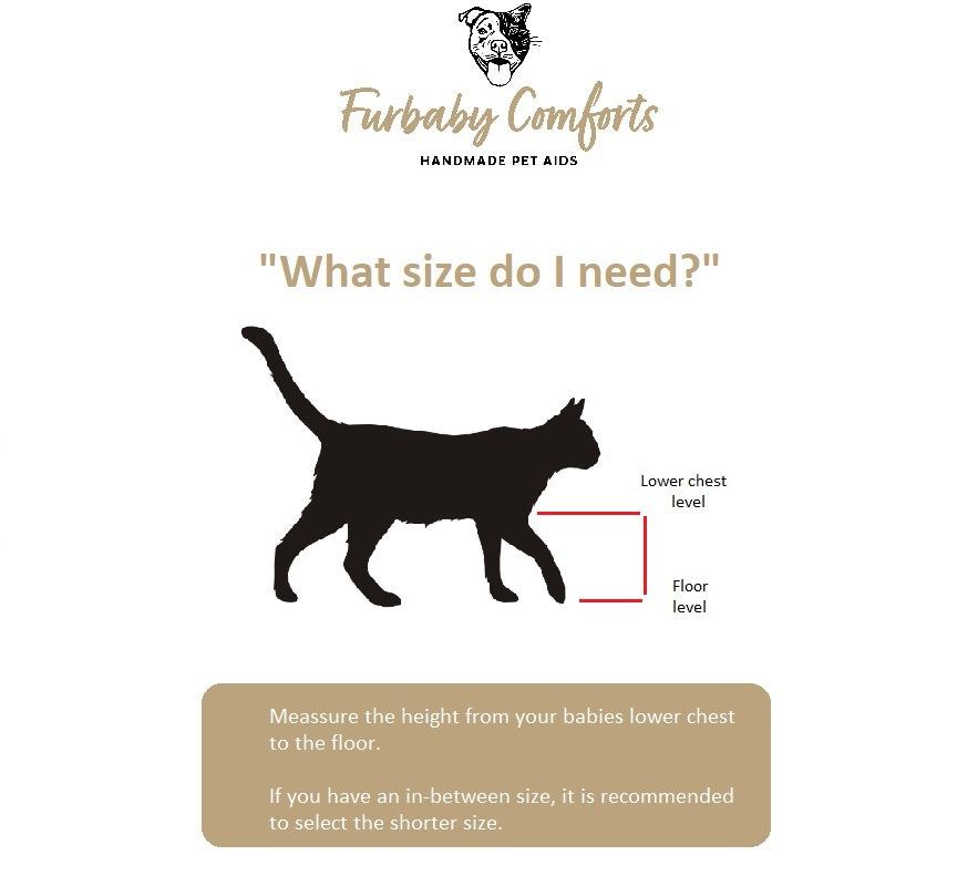 On Sale - Ex Display Double Elevated Cat Bowl Stand - save $100