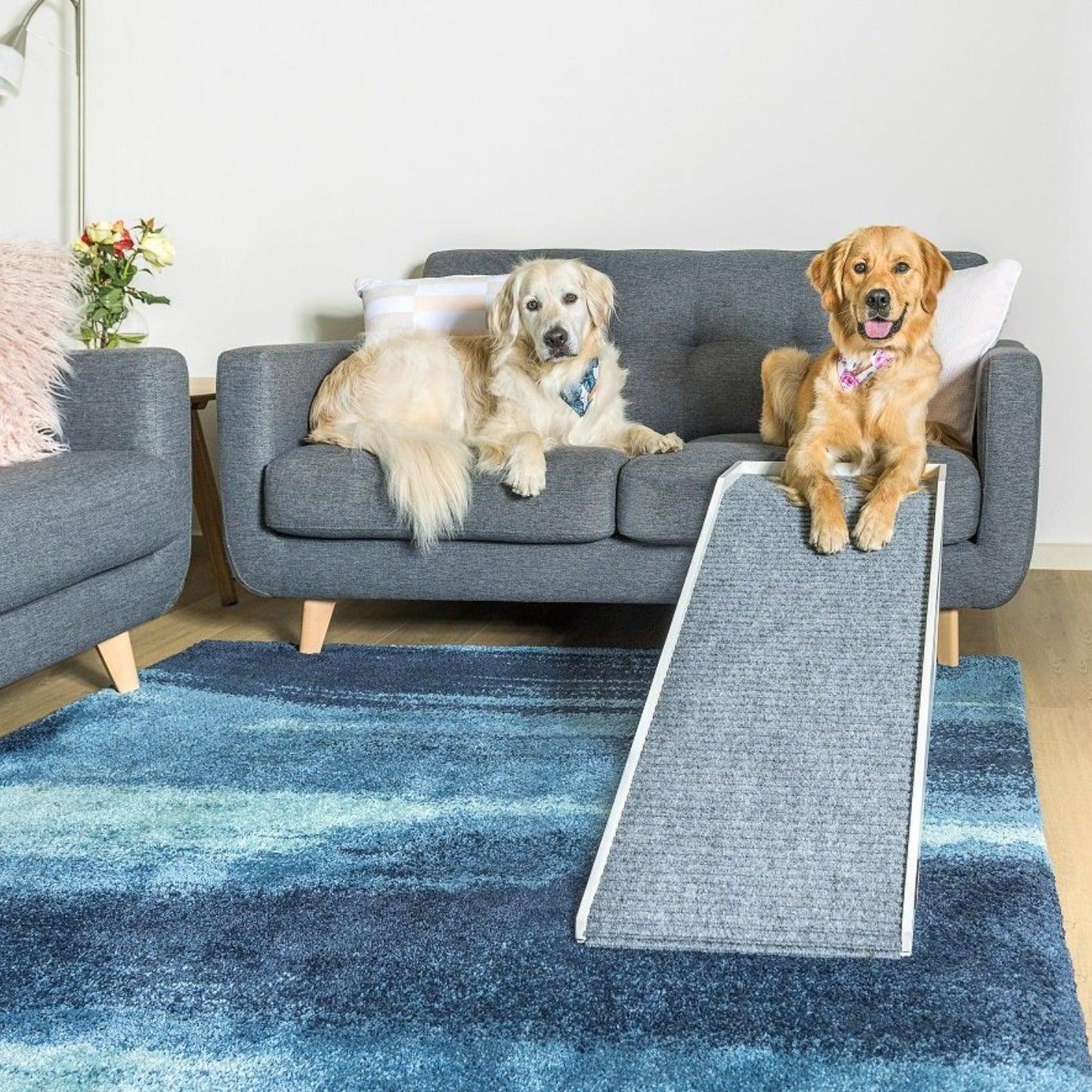 Photo of the Sleek Couch Ramp with two Golden Retrievers sitting next to ramp. Dog ramp suitable for couch.