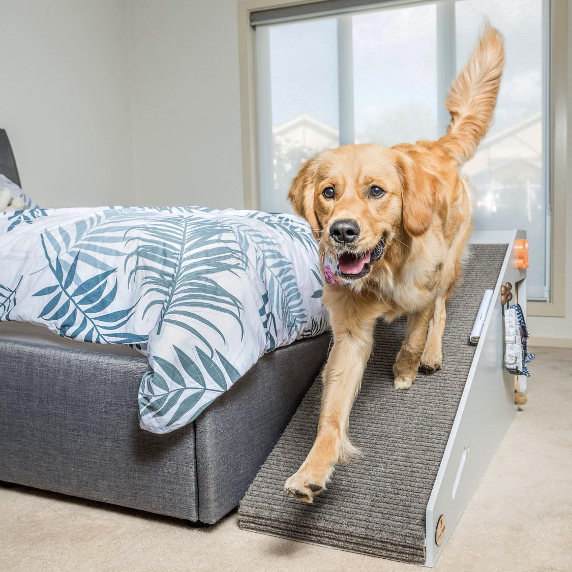 Indoor Ramps and Steps – Furbaby Comforts