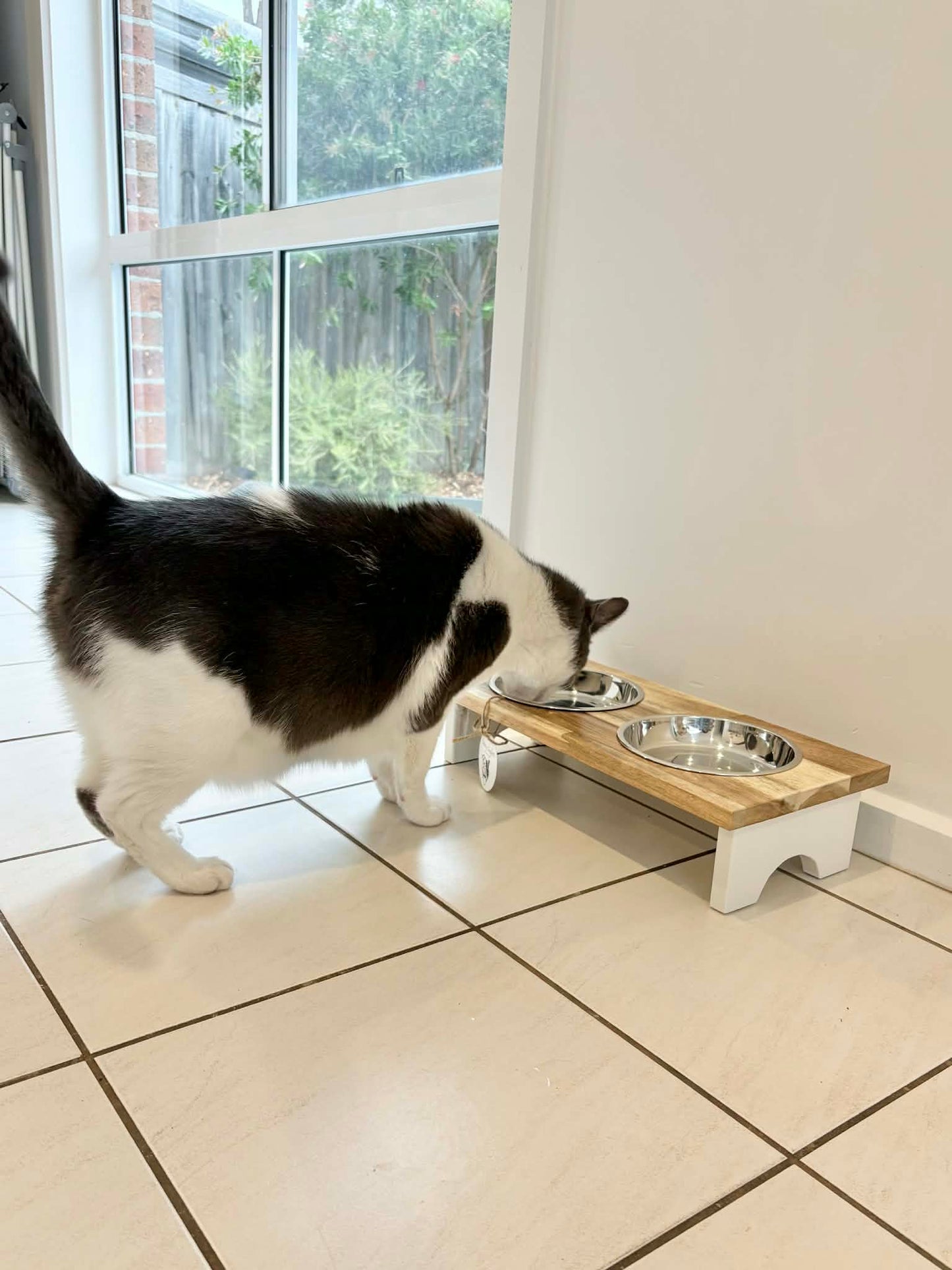 On Sale - Ex Display Double Elevated Cat Bowl Stand - save $100