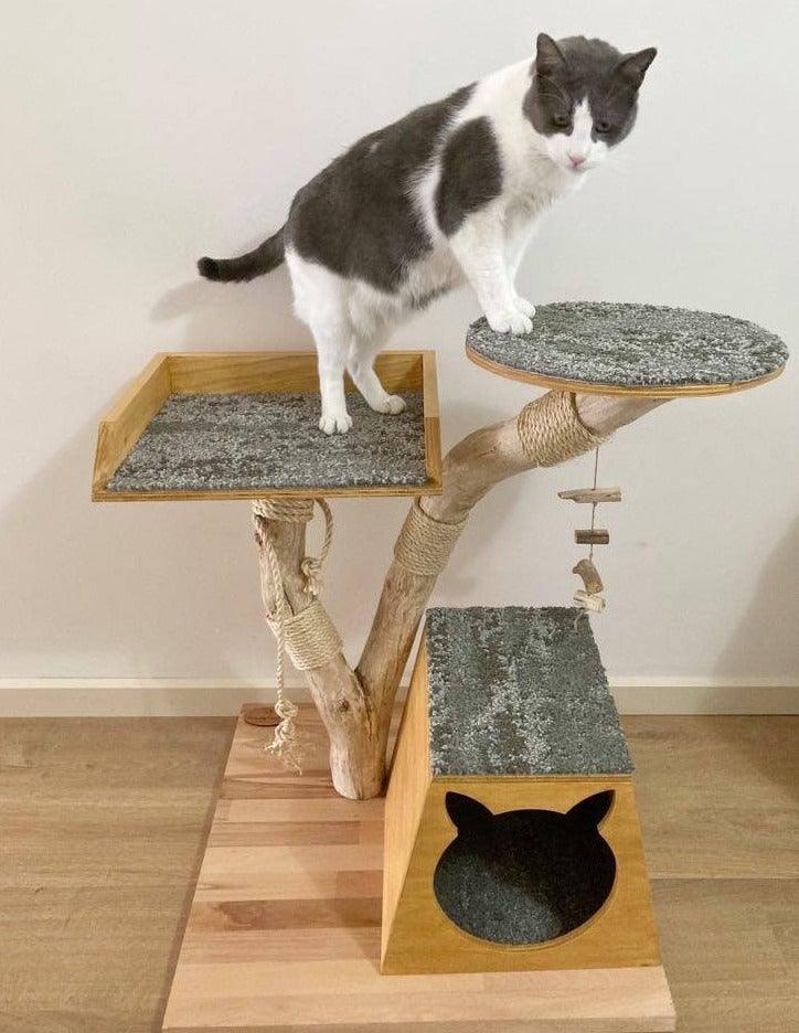 Cat on Cat tree house cat scratcher