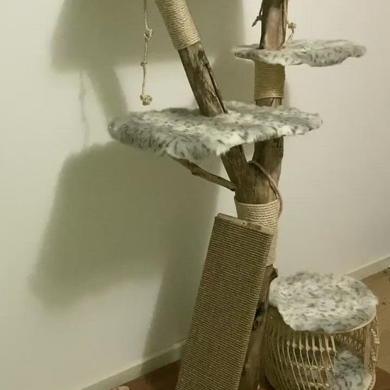 Video of Royal cat tree. Cat scratcher. Kitty climber. 
