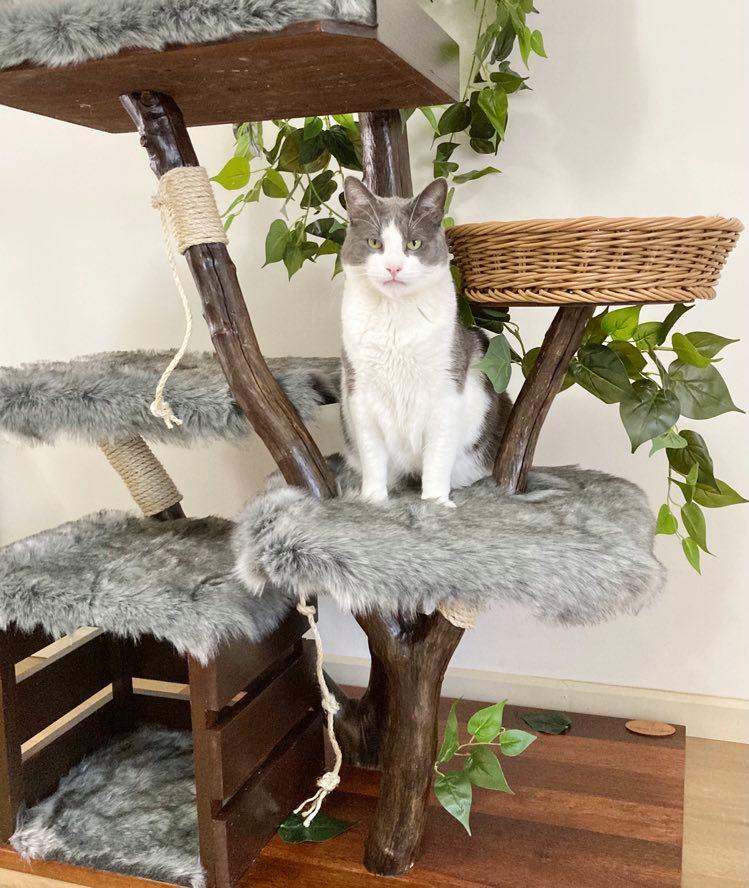 The Magic Faraway Tree - Custom - Furbaby Comforts