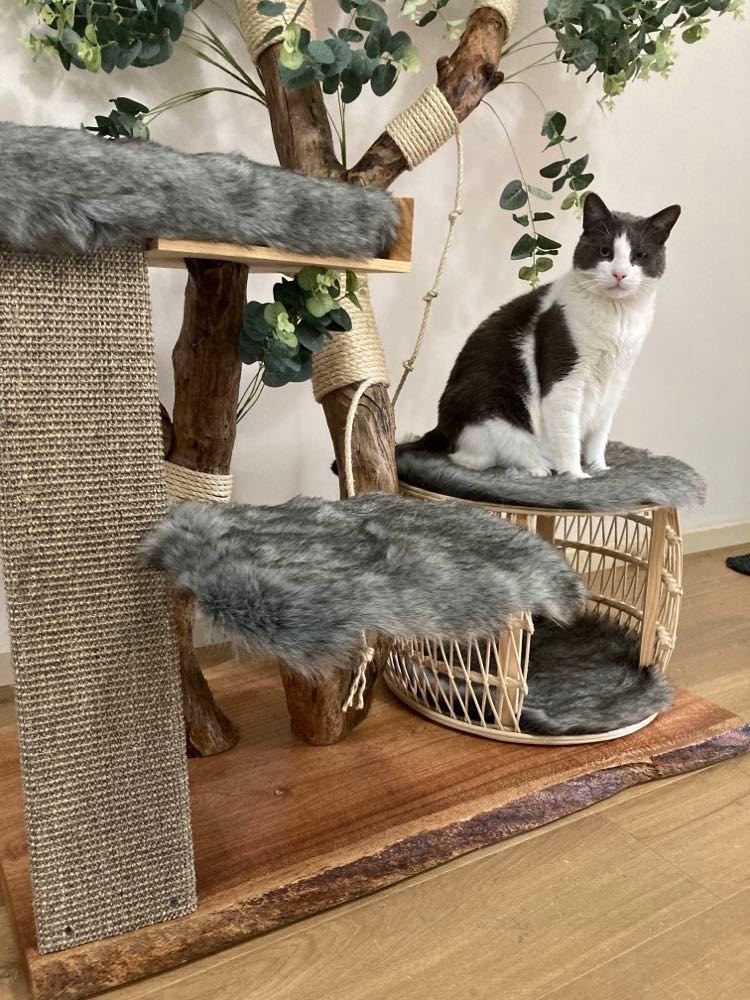 The Special Cat Tree - Custom - Furbaby Comforts