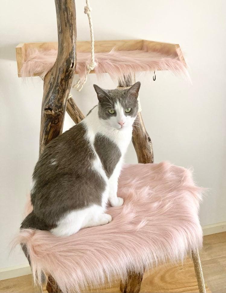 The Devon Cat Tree - Custom - Furbaby Comforts