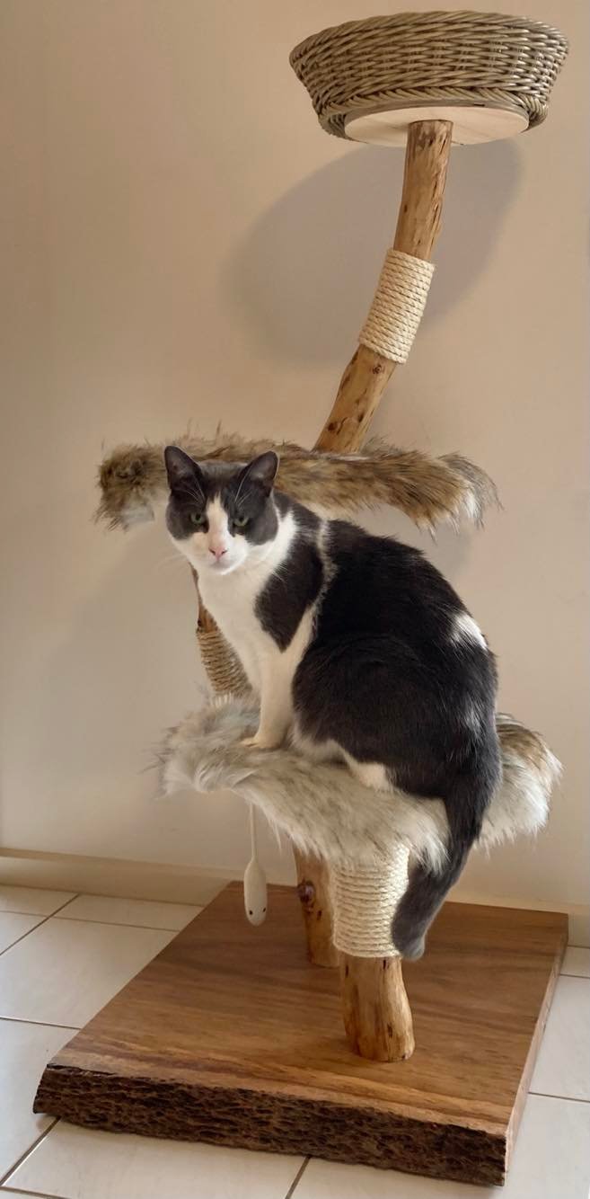 Cat Tree