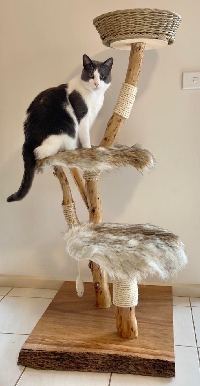 Cat Tree