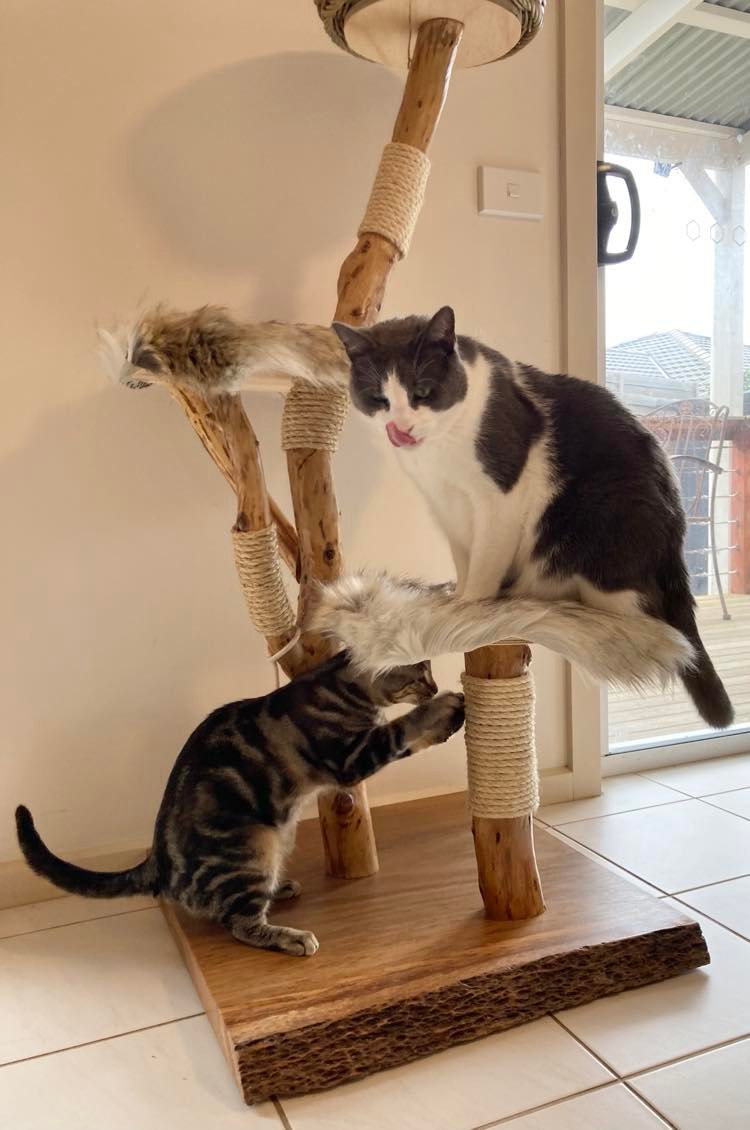 Cat Tree