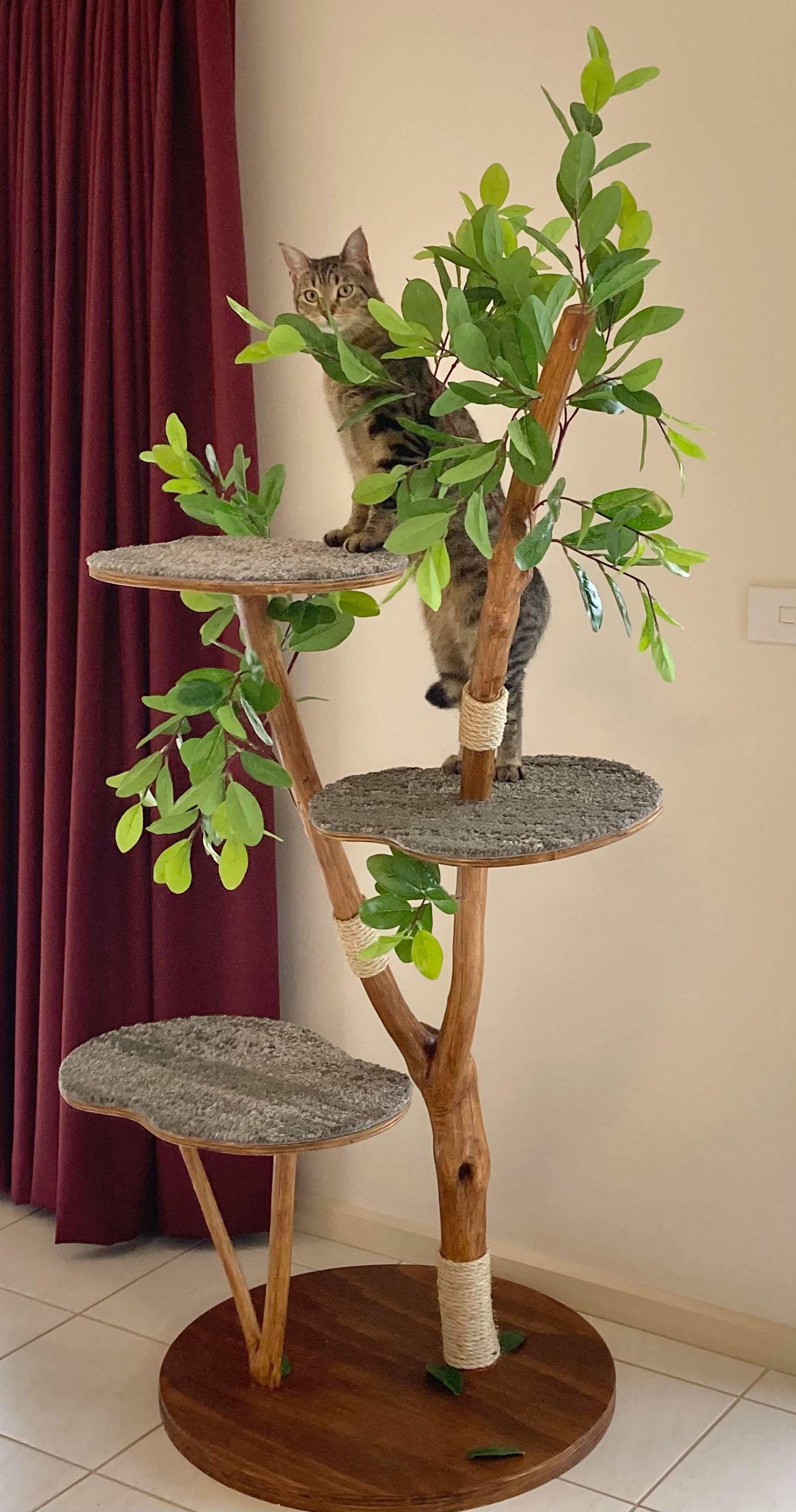 Photo of real life cat feline scratching tree with cat on top platform