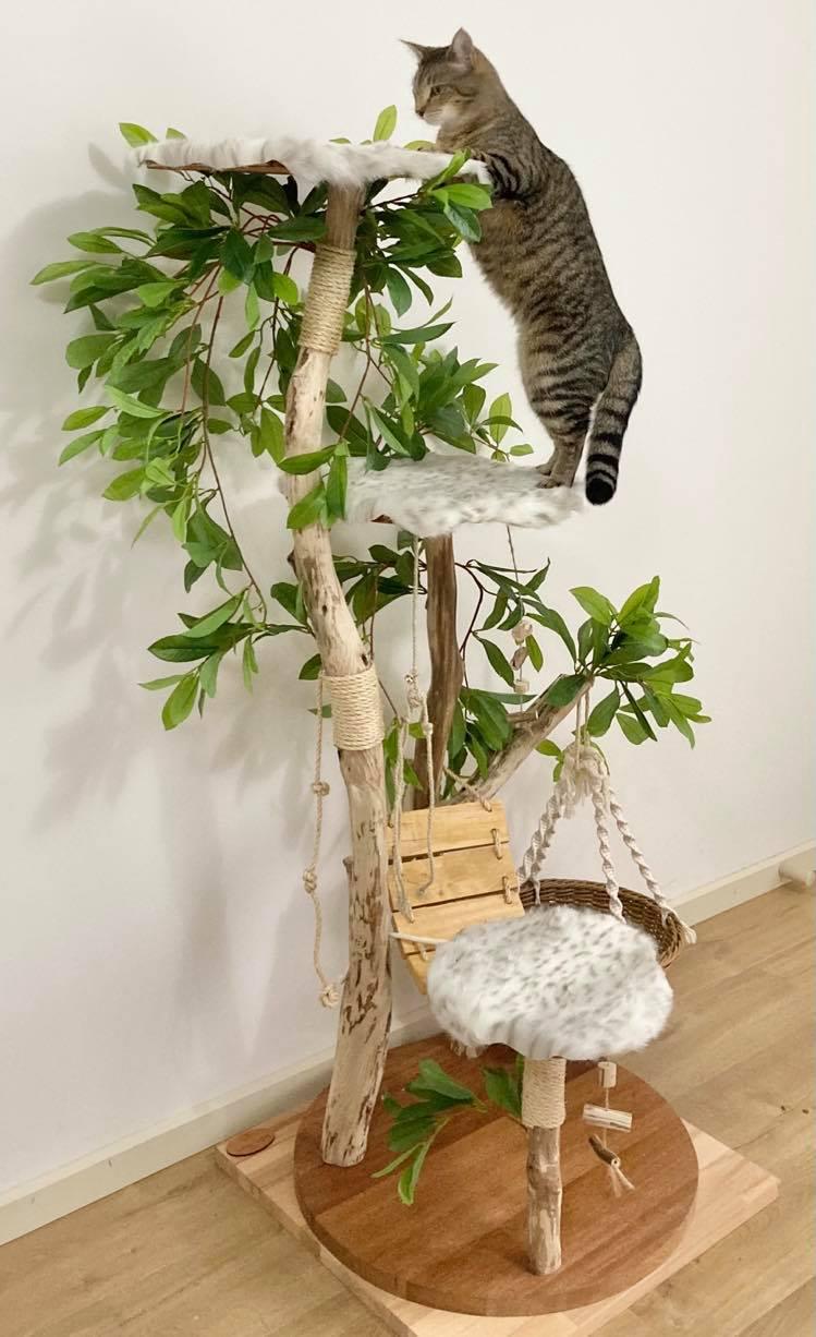 Photo of Play cat tree. Cat scratcher. Kitty climber. 1 cat on cat tree