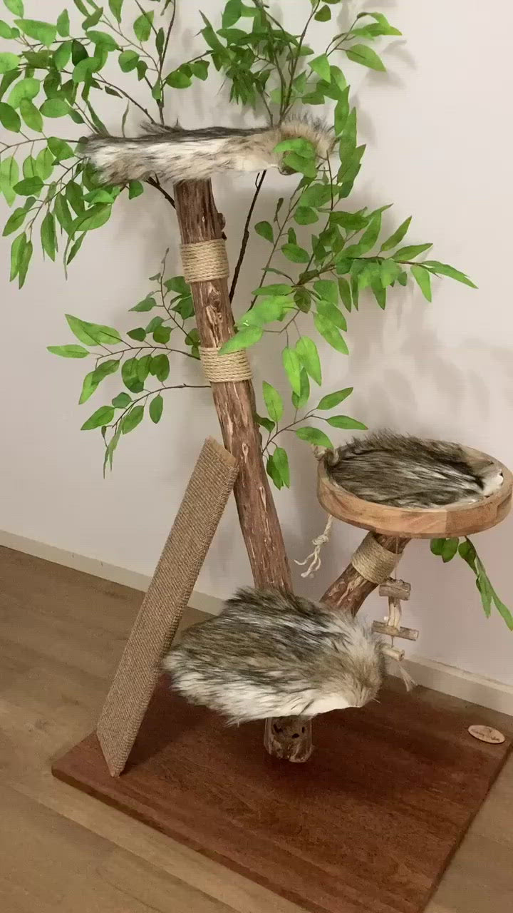 Video of The cat tree with scratching climbing board.