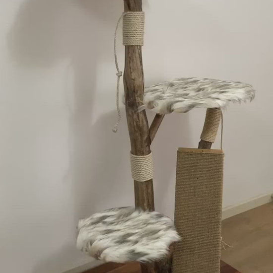 Video of handmade cat tree from real tree branch. Cat scratcher. Cat tower.