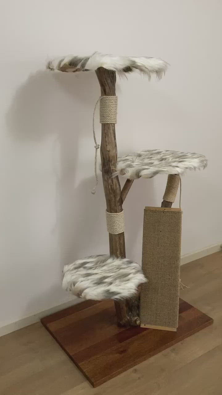 Video of handmade cat tree from real tree branch. Cat scratcher. Cat tower.