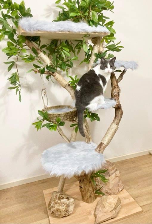 Photo of real cat tree. Cat scratcher 