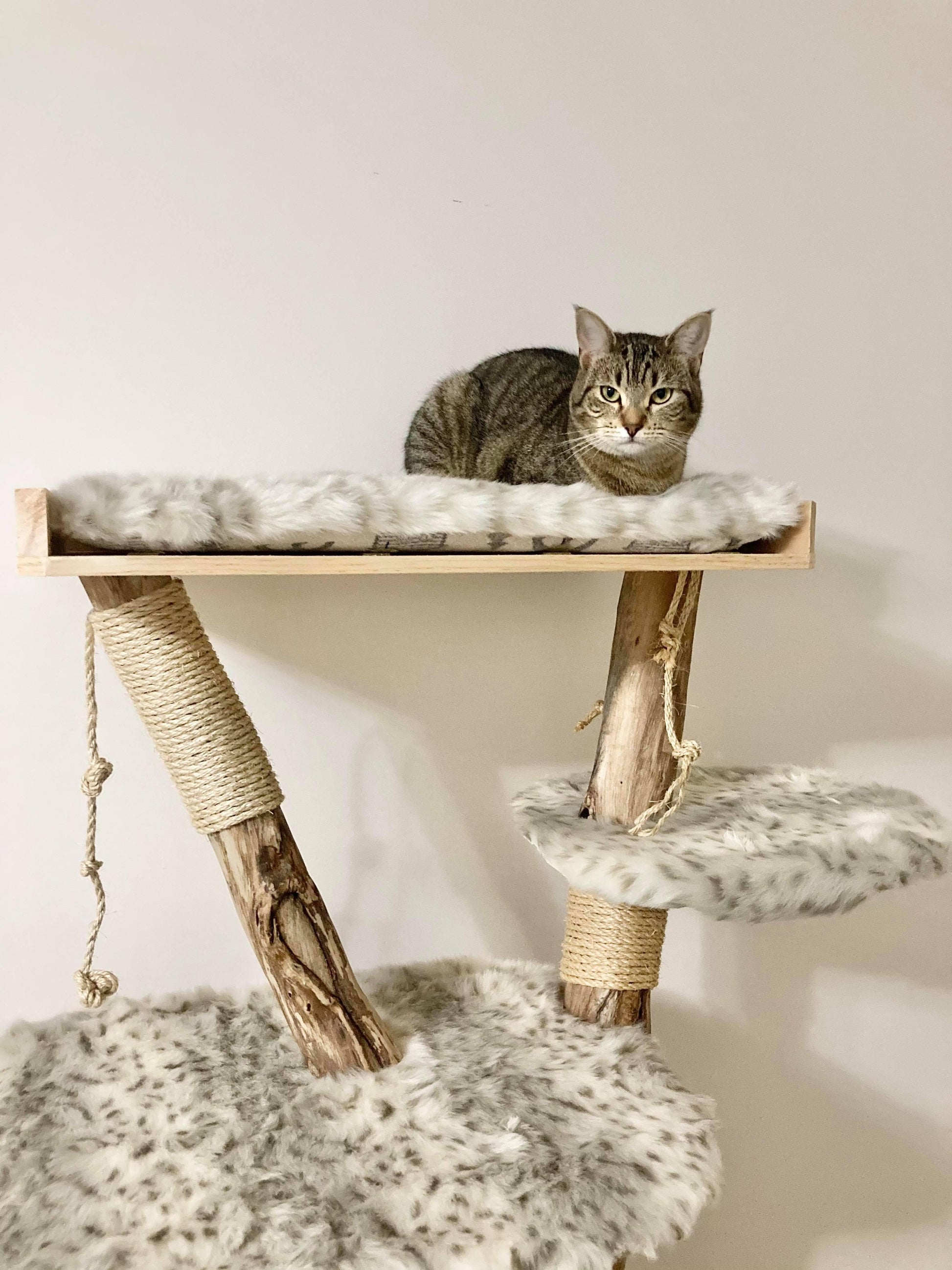 Royal Cat Tree - Furbaby Comforts