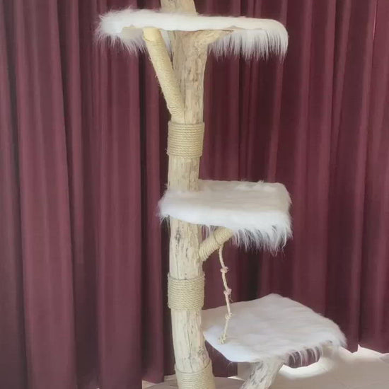 Video of Handmade real cat tree. Cat scratcher. Kitty furniture. 